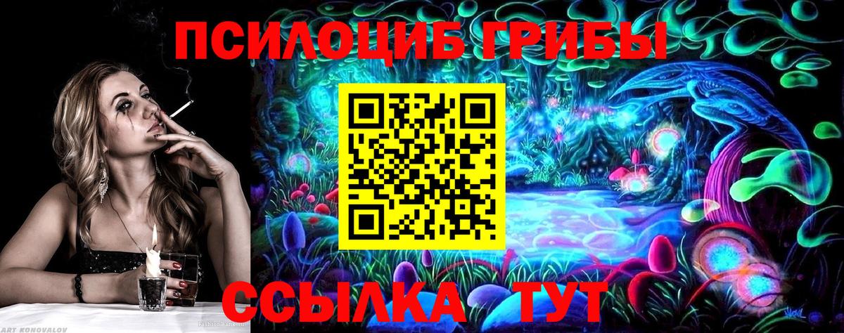 Галлюциногенные грибы GOLDEN TEACHER  Галлюциногенные грибы Psilocybine cubensis  Соль-Илецк  Вход с VPN 