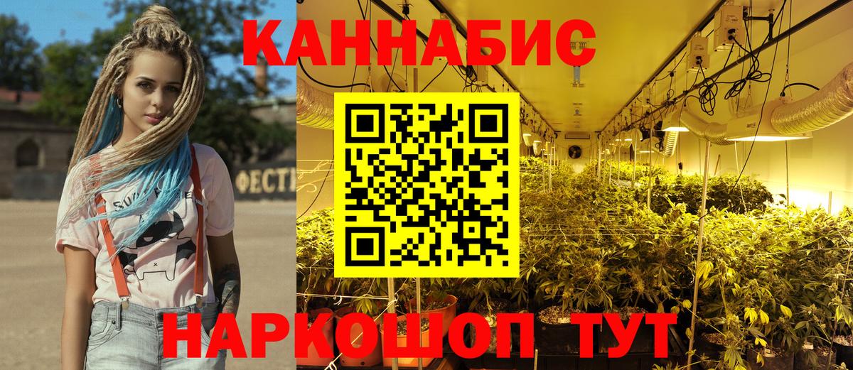 Бошки марихуана сатива Соль-Илецк